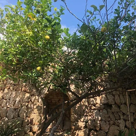 Villa Splendide Les Pieds Dans L'eau Dans La Baie De Mahon *