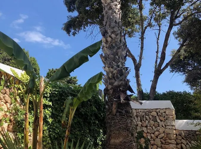 Villa Splendide Les Pieds Dans L'eau Dans La Baie De Mahon Es Castell (Menorca)